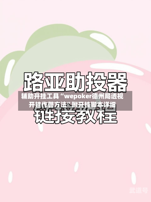 辅助开挂工具“wepoker德州局透视开挂作弊方法	”附开挂脚本详细-第1张图片