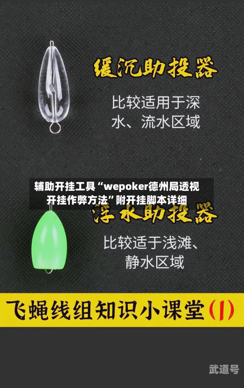 辅助开挂工具“wepoker德州局透视开挂作弊方法”附开挂脚本详细-第2张图片