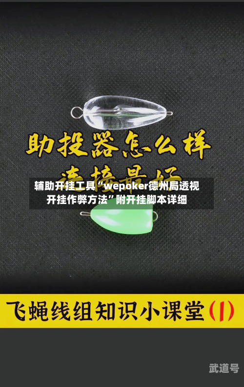 辅助开挂工具“wepoker德州局透视开挂作弊方法”附开挂脚本详细-第3张图片