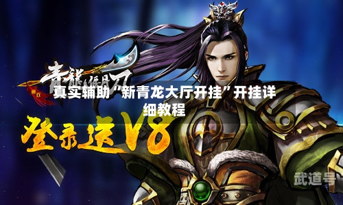 真实辅助“新青龙大厅开挂	”开挂详细教程-第1张图片