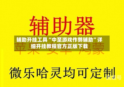 辅助开挂工具“中至游戏作弊辅助”详细开挂教程官方正版下载-第3张图片