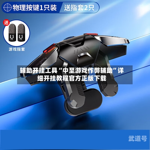 辅助开挂工具“中至游戏作弊辅助	”详细开挂教程官方正版下载-第1张图片