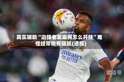 真实辅助“边锋老友麻将怎么开挂”难怪经常输有猫腻(透视)-第1张图片