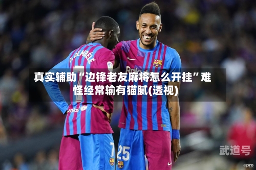 真实辅助“边锋老友麻将怎么开挂	”难怪经常输有猫腻(透视)-第2张图片