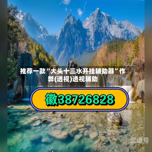 推荐一款“大头十三水开挂辅助器”作弊(透视)透视辅助-第2张图片