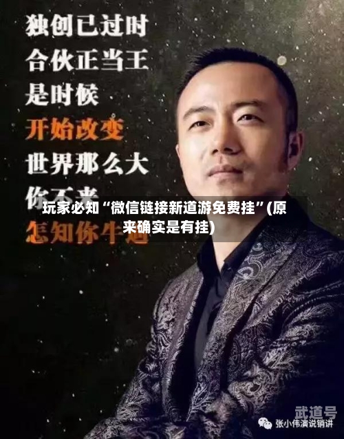 玩家必知“微信链接新道游免费挂”(原来确实是有挂)-第1张图片