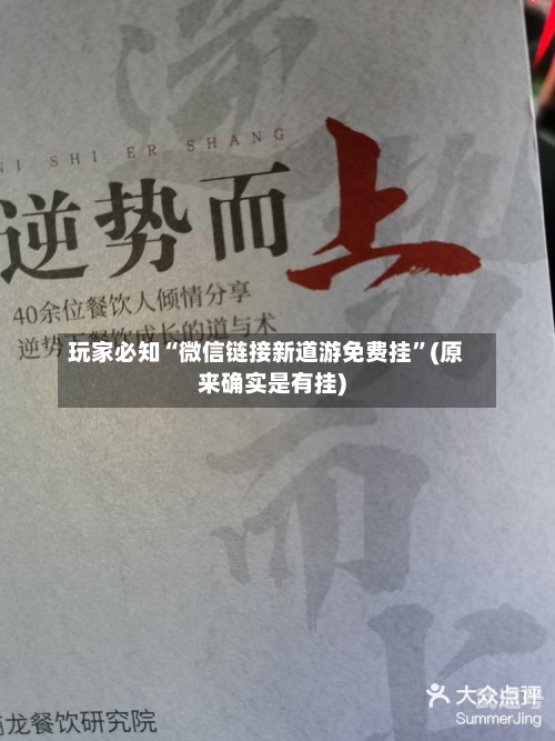 玩家必知“微信链接新道游免费挂	”(原来确实是有挂)-第2张图片