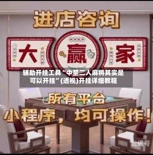 辅助开挂工具“中至二人麻将其实是可以开挂”(透视)开挂详细教程-第1张图片